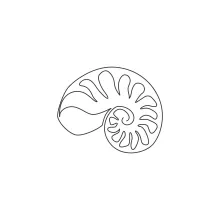 Sea Snail Shell in One Line: A Simple Drawing to Practice Spiral Forms
