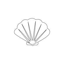 Draw a Beauty Scallop in One Line: Practice Fan Shapes in Simple Marine Drawing