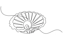 One-Line Shell Drawing for Beginners to Build Curve Confidence