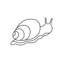 One-Line Snail Drawing for Practicing Spiral Shapes and Line Direction