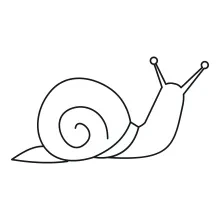 One-Line Snail Drawing for Beginners: Practice Curves and Proportions
