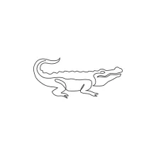 One Line Alligator Drawing for Exploring Reptile Movement and Form