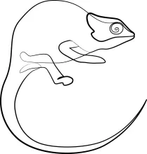 One Line Turtle Practice: Draw Gentle Pets Using Simple, Single-Line Reptile Drawing