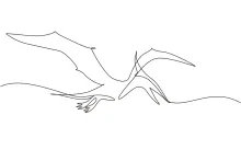 One Line Pterodactyl Drawing: Practice Flying Dinosaur Shapes with Easy Line Art