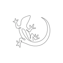 One Line Desert Lizard Drawing for Learning Basic Reptile Shapes