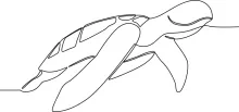 One Line Sea Turtle Drawing: Learn Ocean Wildlife Through Easy Continuous Line Art