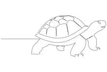 Draw a Turtle with Just One Line: Simple Practice for Art
