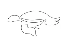 Simple Turtle Drawing with One Line: Fun for Early Artists