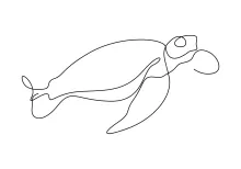 Easy One Line Turtle Drawing: Practice Round Shapes with No Stress
