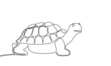 One Line Turtle Drawing: A Calm Reptile to Practice with Confidence