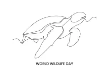 One Line Land Turtle Drawing: Learn Easy Reptile Shapes Through Basic Line Art