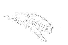 One Line Turtle Drawing for Beginners: Learn Easy Forms with Simple Structure