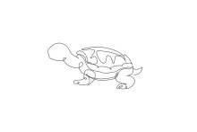 Big Cute Tortoise One Line Drawing for Calm and Fun Art Practice