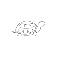 One Line Drawing of Land Tortoise to Learn Basic Animal Shapes