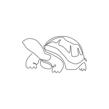Easy One Line Land Tortoise Drawing for Relaxing Reptile Practice