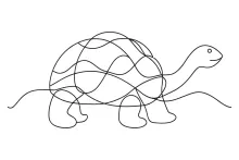 Simple One Line Tortoise Drawing: Great for Kids and Reptile Fans