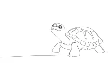 One Line Tortoise Drawing: Learn to Sketch Slow Animals with Simple Shapes