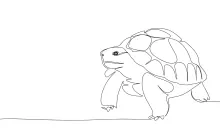 One Line Tortoise Drawing: Learn Simple Techniques Using Slow-Living Animals