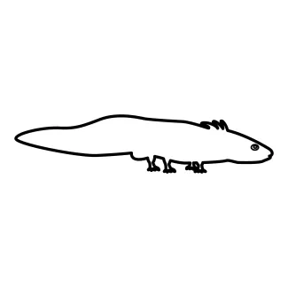 Easy One-Line Axolotl Drawing to Explore Fun Animal Forms