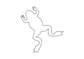 frog One-Line Frog Drawing for Exploring Curves and Natural Animal Shapes
