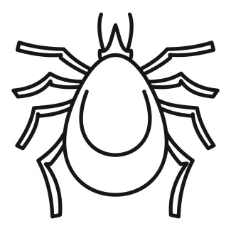 Simple line drawing of a tiny mite insect.