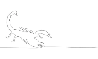 Desert scorpion simple line drawing for practice.
