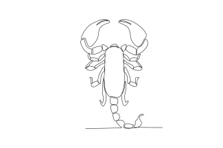 Simple wildlife scorpion continuous line art drawing.