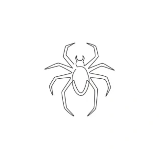 Spider with long legs Spider spreading long legs simple line art.