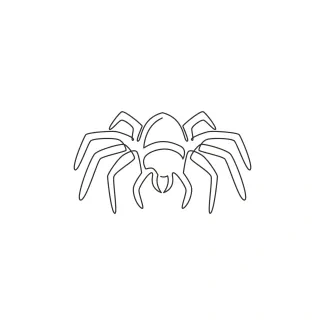 Wild spider drawing Big wild spider one line art drawing.