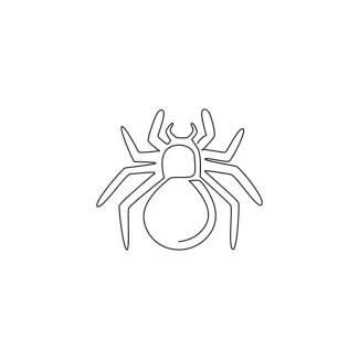 Dangerous spider art Dangerous spider single line art for nature drawing.