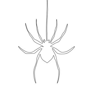 Spider sitting on web continuous line drawing.