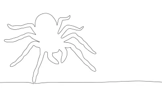 Easy spider one line nature drawing.