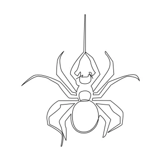 Basic spider shape simple line nature drawing.