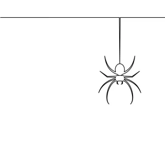Wildlife spider line Spider one line simple wildlife drawing.