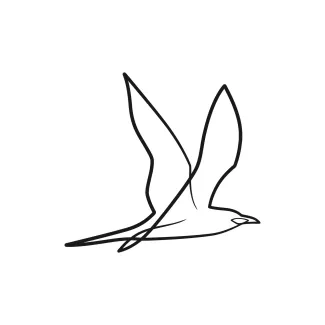 Bird One-Line Drawing of a Small Bird: Practice Quick Sketching with Recognizable Forms