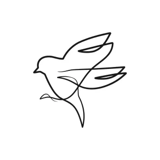 Bird Beginner’s One-Line Bird Art: Learn Simple Drawing Skills Using Familiar Shapes