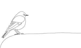 Bird Sitting "Minimalist One-Line Sitting Bird Drawing: Capturing a Calm and Restful Wildlife Moment"