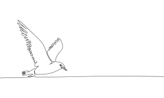 Bird "Minimalist One-Line Bird Drawing: Capturing Nature’s Beauty in Simple Form"