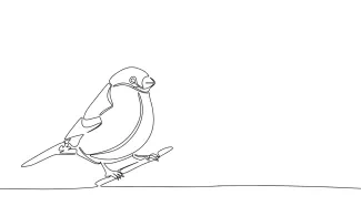 Little Bird "Minimalist One-Line Bird Drawing: Capturing the Essence of Small Wildlife in Simple Art"