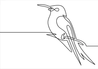 Bird "One-Line Bird Drawing: A Minimalist Approach to Representing Avian Beauty"
