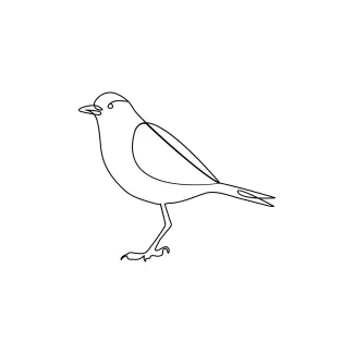 Bird "Minimalist One Line Bird Drawing: Capturing the Essence of Avian Elegance"