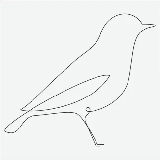 Bird "One Line Bird Drawing: A Minimalist Approach to Avian Beauty and Form"