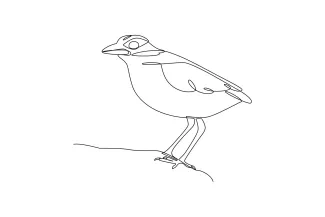 Bird One Line Bird Drawing for Beginners: Learn Animal Shapes with Simple Drawing