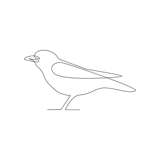 Bird One Line Drawing of a Small Bird: A Beginner-Friendly Guide to Animal Line Art