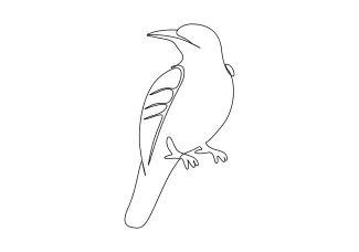 Bird One Line Bird Drawing Practice: Simple Art for Learning Animal Shapes
