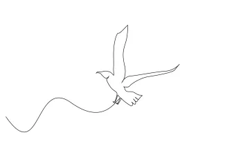 Flying bird One Line Flying Bird Drawing: Practice Wings and Movement in Simple Animal Art