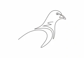 Pigeon "Minimalist One Line Pigeon Drawing: A Practical Approach for Urban Wildlife Art"