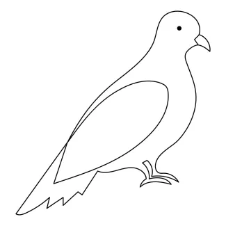 Pet Pigeon "One-Line Pet Pigeon Drawing: A Minimalist Approach to Capturing Urban Companion Birds"