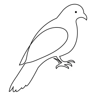 Pet Pigeon "One-Line Pet Pigeon Drawing: A Minimalist Study of a Friendly and Social Bird"