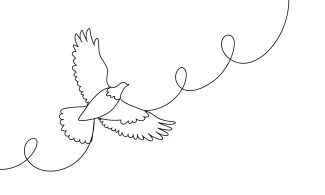 Dove in flight "One Line Dove Art: A Minimalist Study of Symbolic and Expressive Motion"